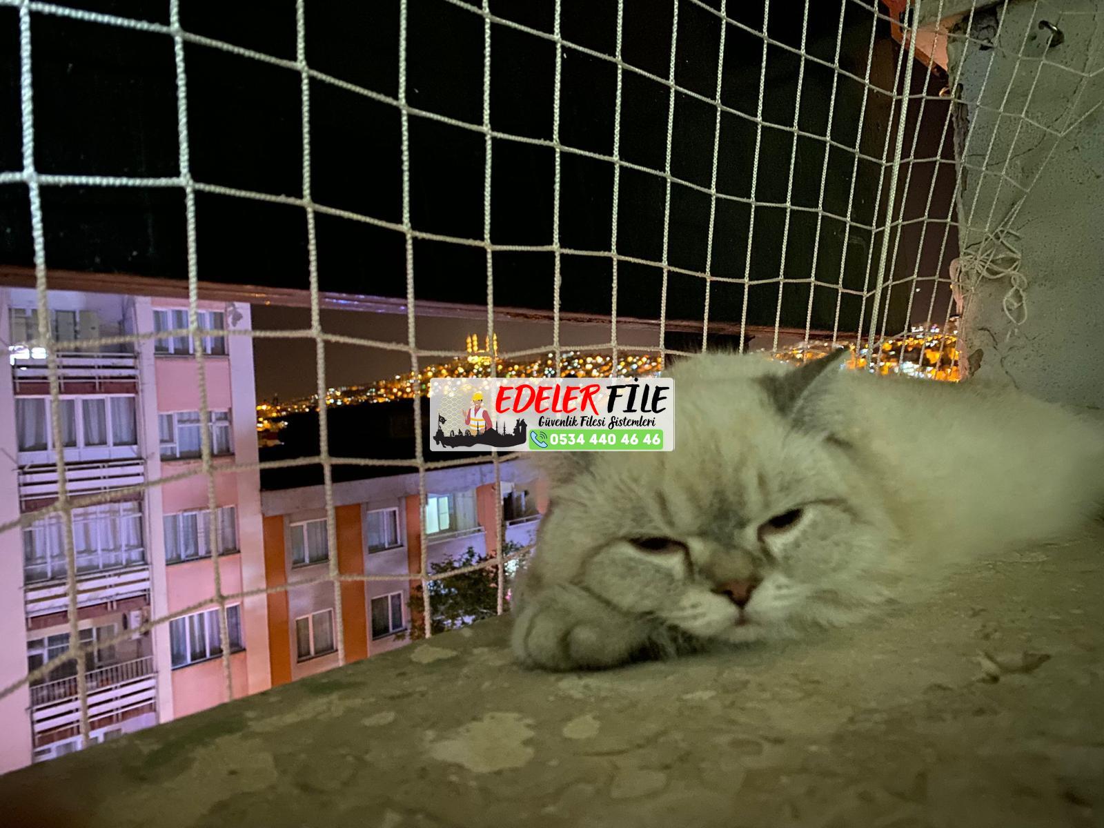 Mersin Erdemli Kedi Filesi, Kedi Güvenlik Filesi 0534 440 46 46